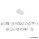 热血传奇：同样是练级strong/p
p传奇经历/strong，看看高档级玩家的多倍经历是如何来的