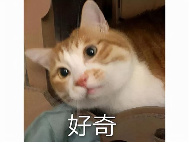 烈焰传奇手机版游戏下载 烈焰传奇手机版游戏下载