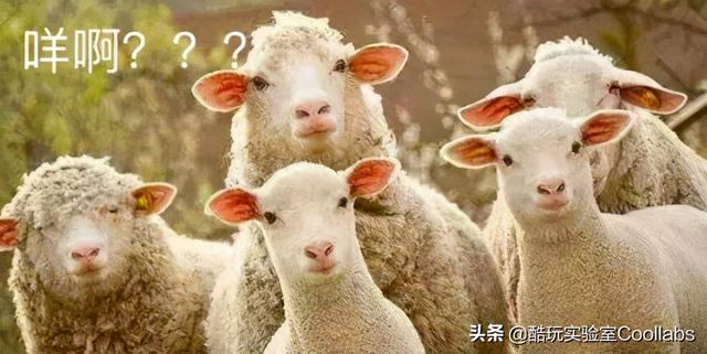 酷玩传奇手游 酷玩传奇手游