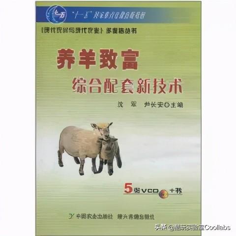 酷玩传奇手游 酷玩传奇手游