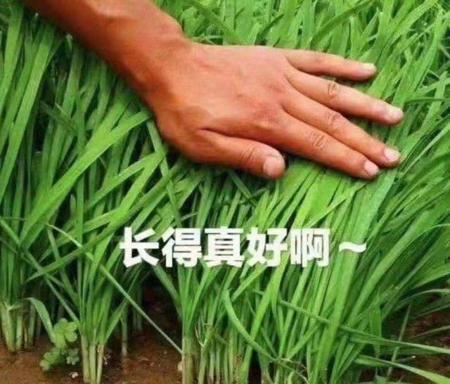 传奇手游搬砖赚钱攻略